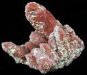 Natural Red Quartz Crystals - Morocco #57231-1